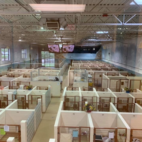 The boarding area of All American Pet Resorts Lakeshore